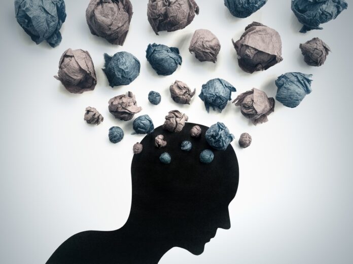 Cabeça com “problemas” mentais na Assembleia vai beneficiar o maridão…Quem será???